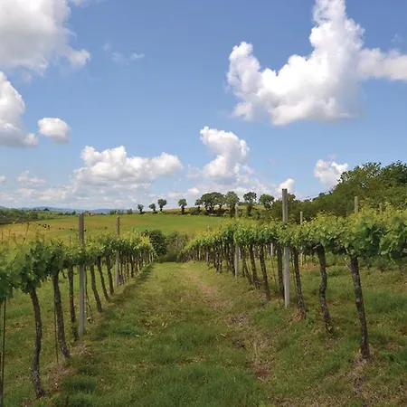 Agriturismo Il Canto Della Gallina
